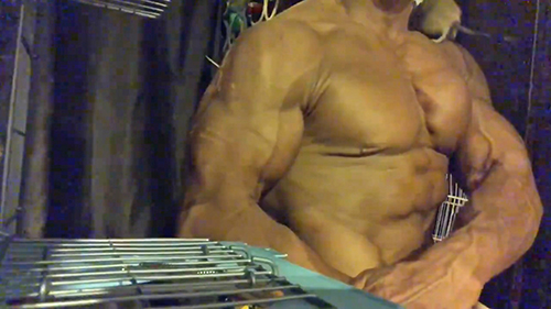 肩に乗るデグーくん