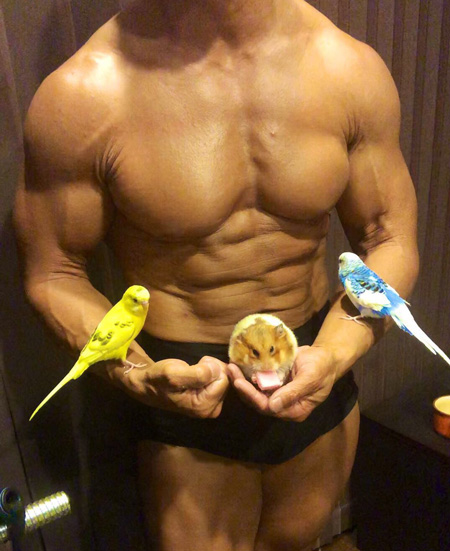 セキセイインコ2羽とハムスター