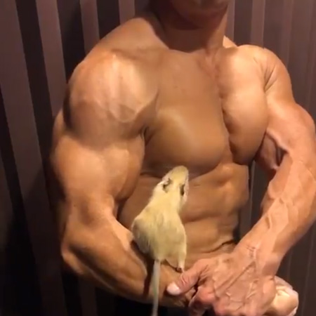 狙い澄ました一撃