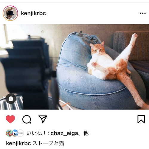 「859話　在宅ワークとネコ」