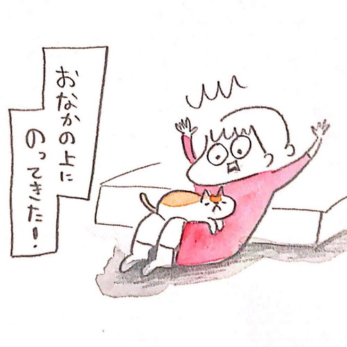 「808話　寒い日のいいこと」