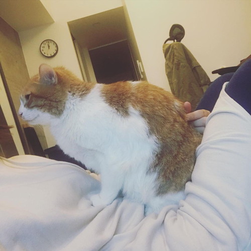 「808話　寒い日のいいこと」