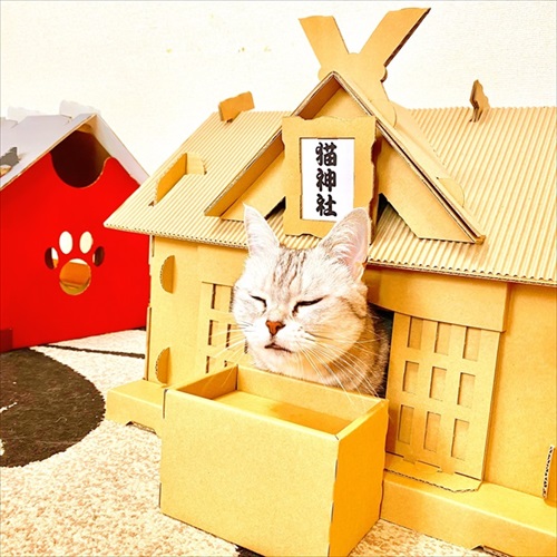 もふもふ猫神社