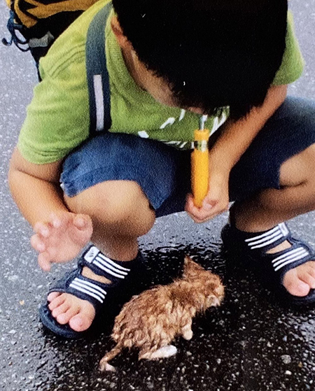子猫保護