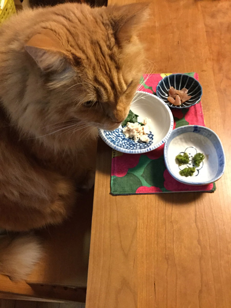 お食事中ピョンタさん