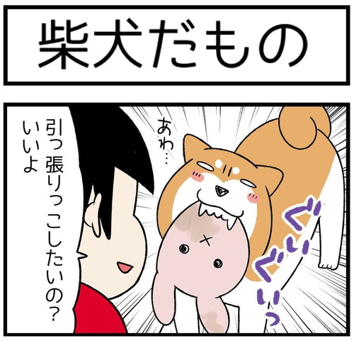 「柴犬だもの」