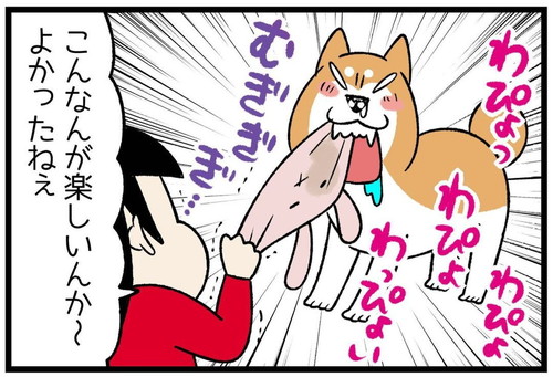 「柴犬だもの」