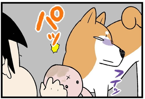 「柴犬だもの」