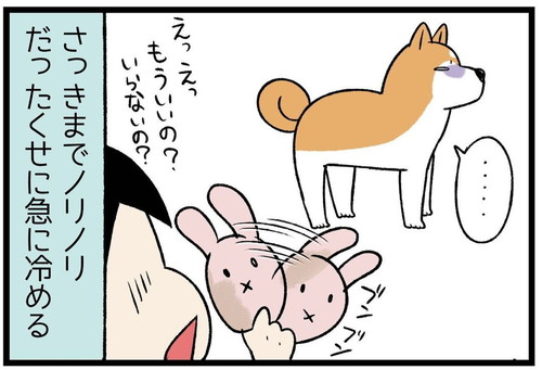 「柴犬だもの」