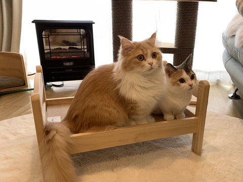 ベッド下のアラレちゃん