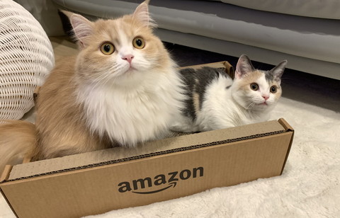 むぎきぬちゃんとアラレちゃん