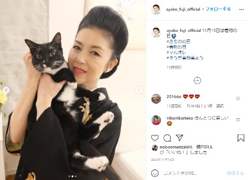 藤あや子 演歌 歌手 猫 マル オレオ Twitter インスタ