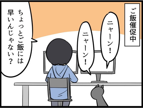 ご飯催促ネコちゃん