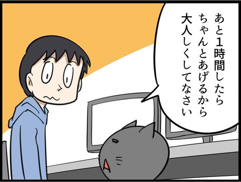 ご飯催促ネコちゃん