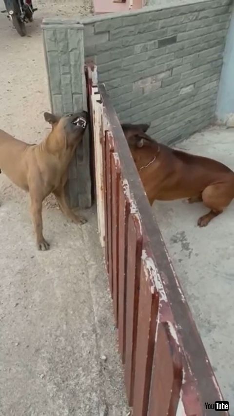 Fence Causes Friction