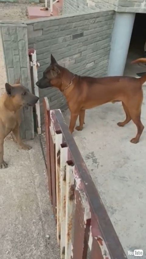 Fence Causes Friction