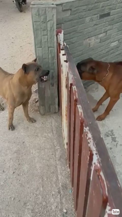 Fence Causes Friction