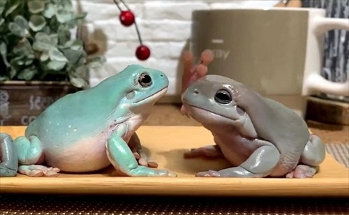 仲良しかと思ったら