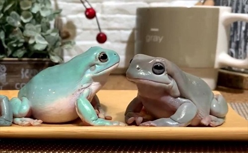 仲良しかと思ったら