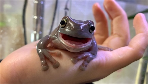 仲良しかと思ったら