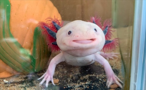 仲良しかと思ったら