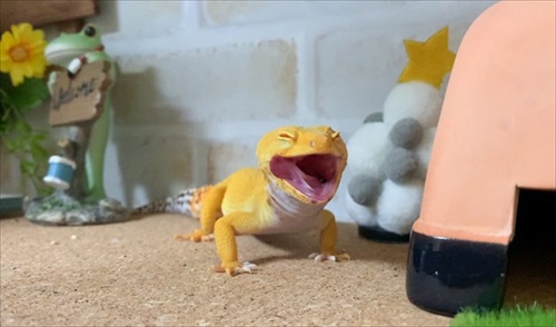 仲良しかと思ったら