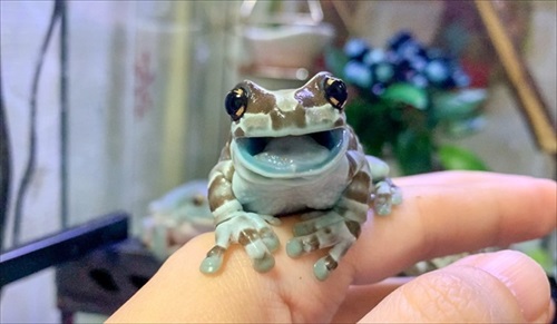 仲良しかと思ったら