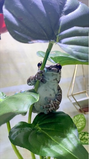 仲良しかと思ったら