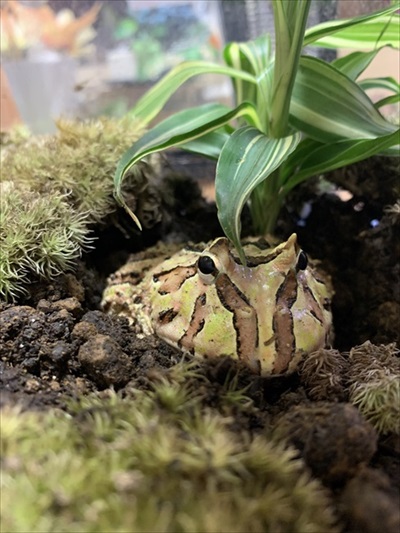 仲良しかと思ったら