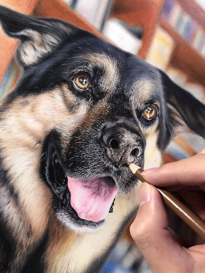 色鉛筆で描いた猫ちゃん