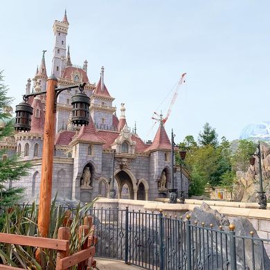 美女と野獣バウンド