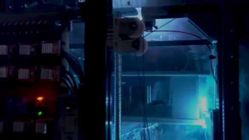 お弁当 半額 ゴージャス 登場 箱 デルモンテ 発明 演出 新型 進化