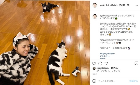 藤あや子 マル オレオ 猫