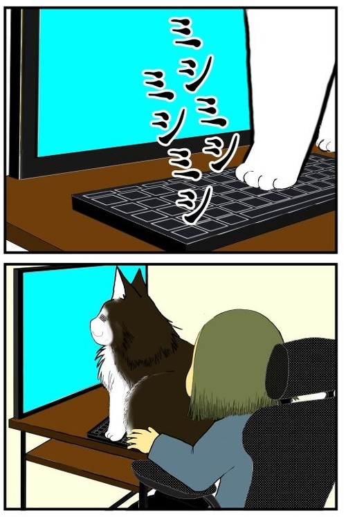 「我が家で猛威を振るうニャンサムウェアたち」