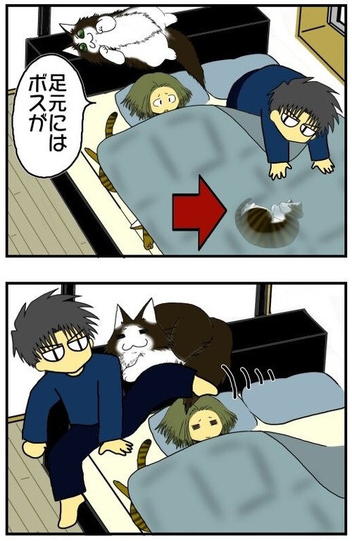 「我が家で猛威を振るうニャンサムウェアたち」