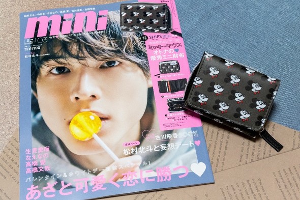 mini 付録レビュー