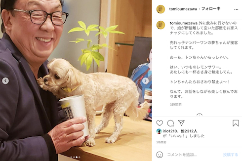 梅沢富美男 お家スナック レモンサワー 愛犬 夢子ちゃん