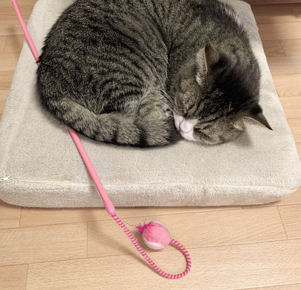 つなくんいろいろ