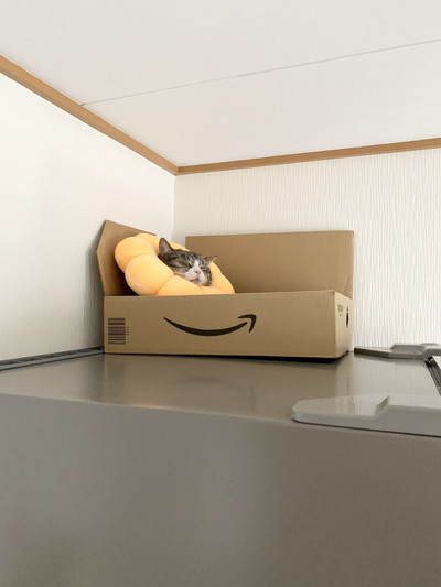 つなくんいろいろ