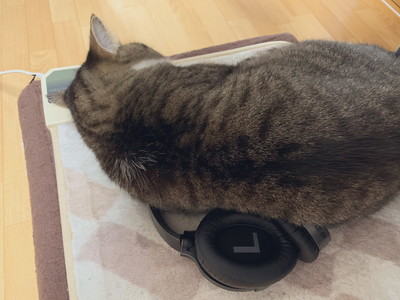 つなくんいろいろ