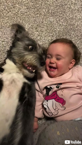 お互いにツボったワンコと赤ちゃん