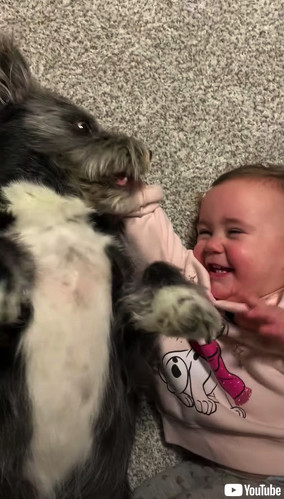 お互いにツボったワンコと赤ちゃん