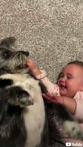 お互いにツボったワンコと赤ちゃん