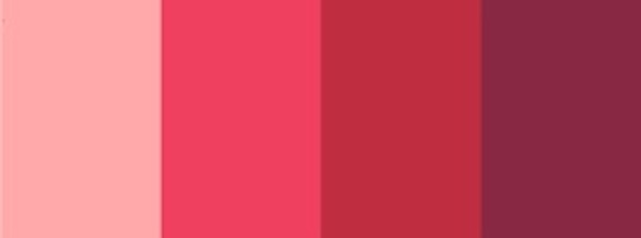 Jeju Color Picker 2021 Camellia Edition