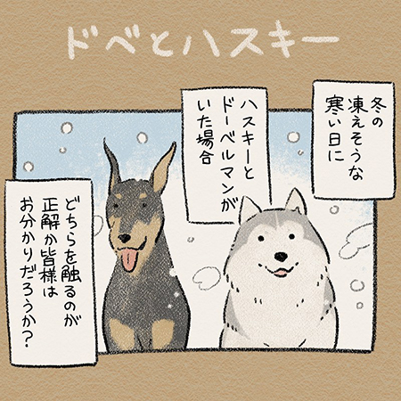 ドベとハス・ドーベルマン1