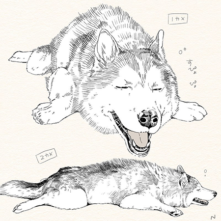 溶けるハスキーのイラスト