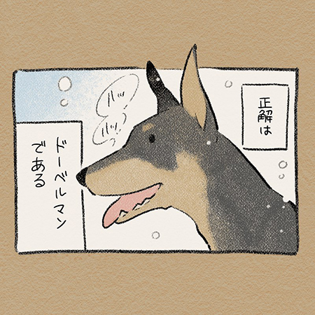 ドベとハス・ドーベルマン2