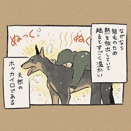 ドベとハス・ドーベルマン3