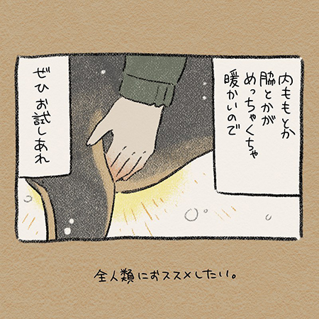 ドベとハス・ドーベルマン4