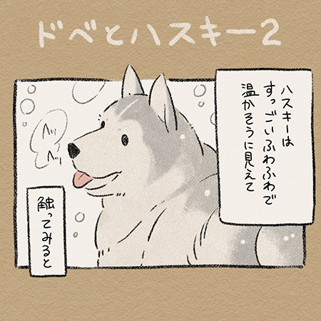 ドベとハス・ハスキー1